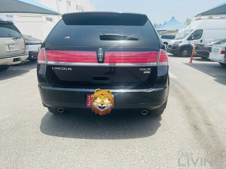 Lincoln MKX 2008 | Luxury SUV | Well-Maintained |